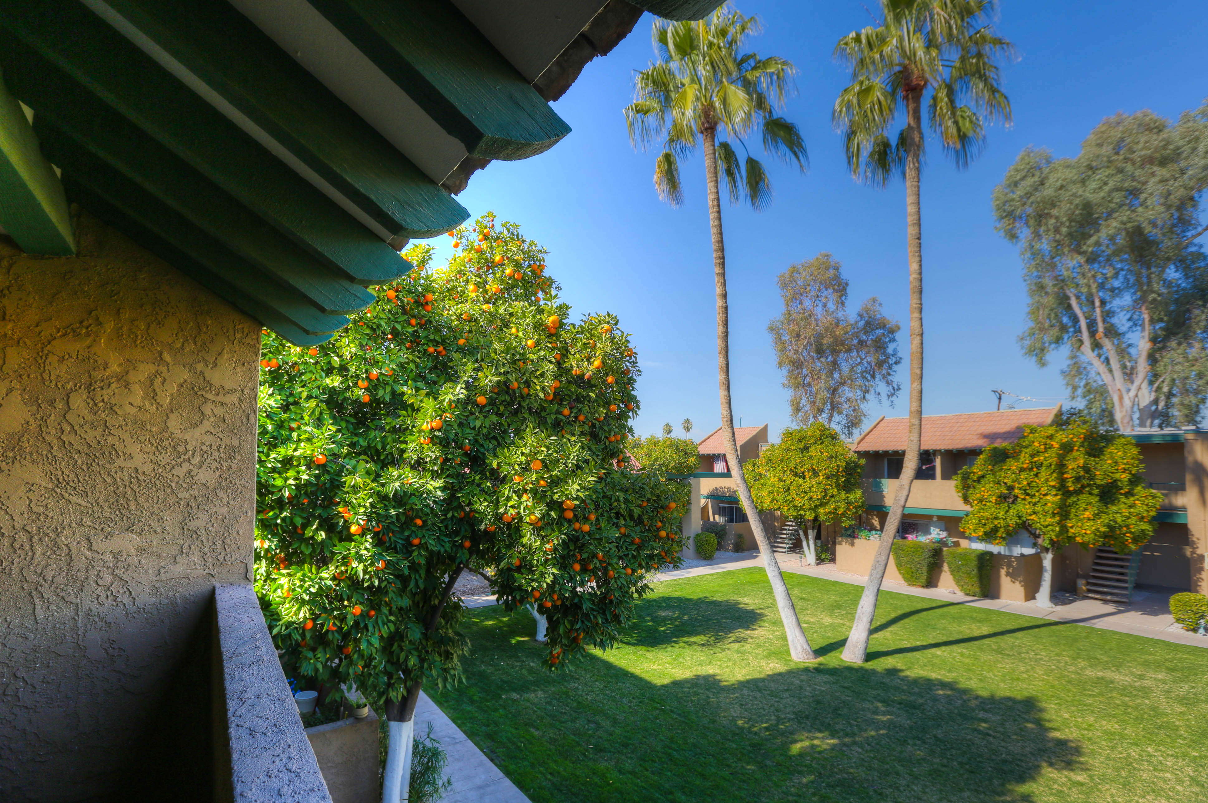Slideshow Image