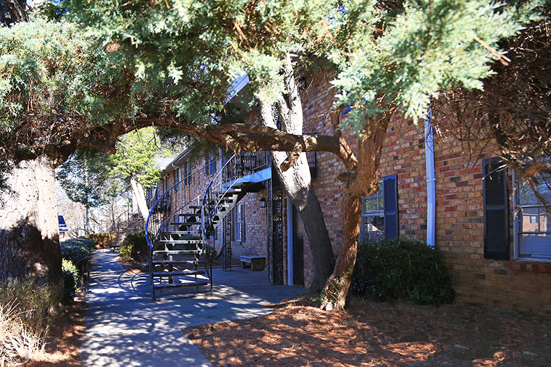 Slideshow Image