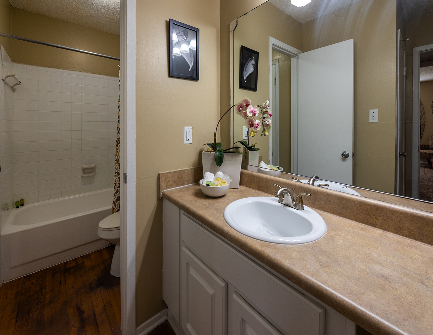 Slideshow Image