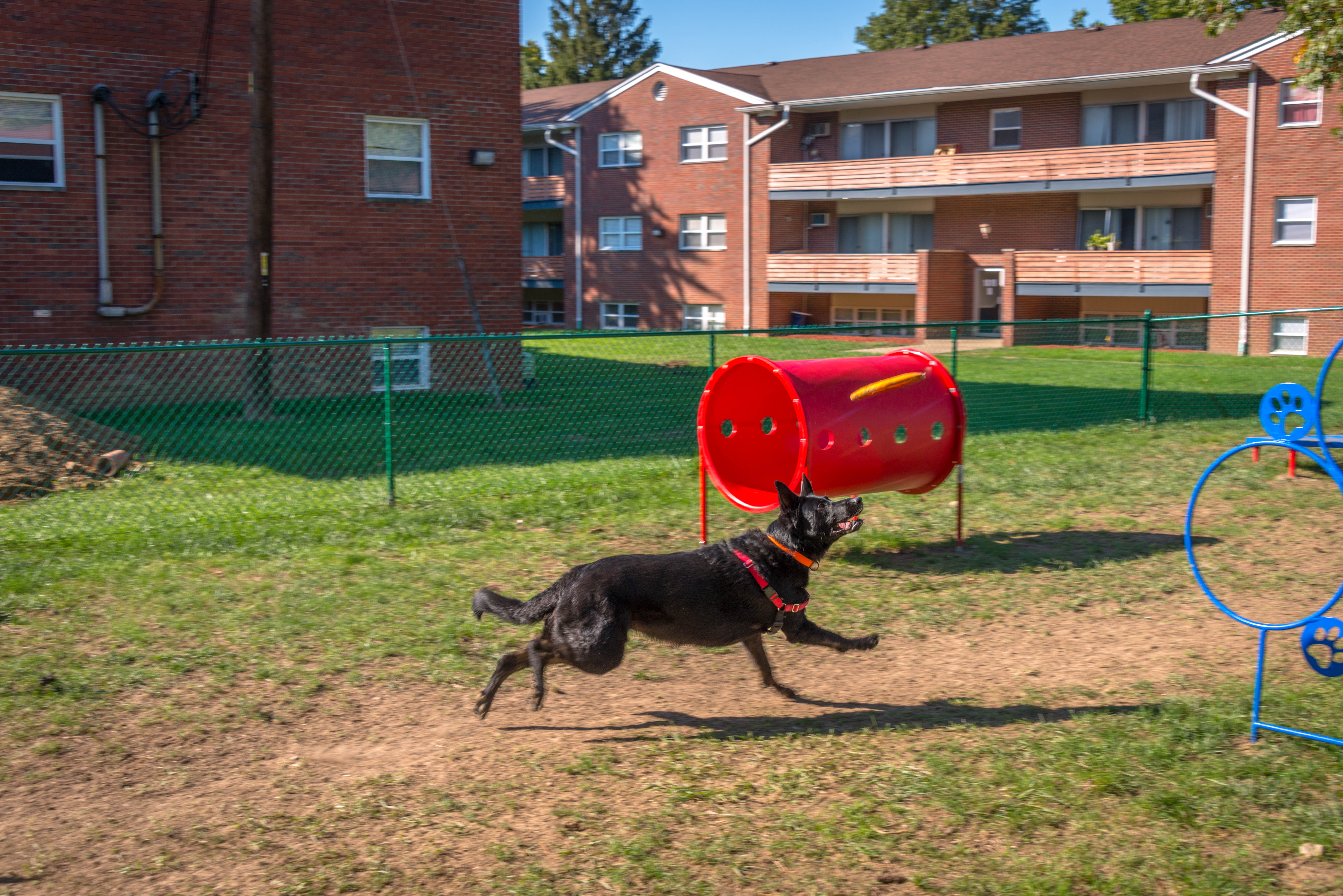 Slideshow Image
